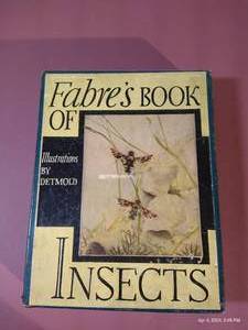 lot 742 image: 1936 Fabres Book of Insects - Neat Hardcover Book