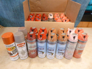 lot 9 image: 32 Cans of Spray Paint