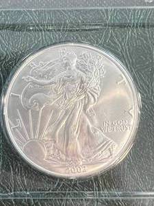 2002 AMERICAN SILVER EAGLE 1 TROY OZ .999 FINE SILVER UNC IN INFO. CASE