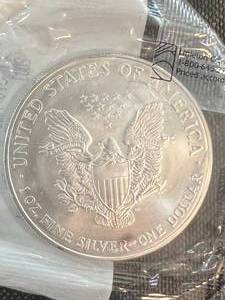2003 AMERICAN SILVER EAGLE 1 TROY OZ .999 FINE SILVER UNC SEALED