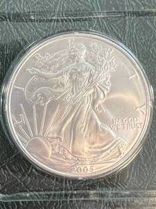 2005 AMERICAN SILVER EAGLE 1 TROY OZ .999 FINE SILVER UNC IN INFO. CASE