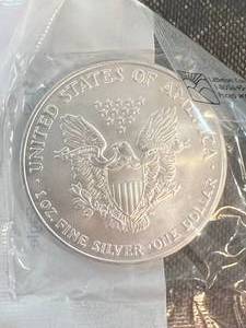 2006 AMERICAN SILVER EAGLE 1 TROY OZ .999 FINE SILVER UNC SEALED