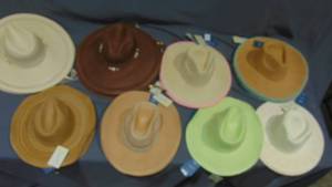 Mixed Lot of Hats
