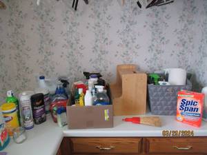 lot 103 image: Countertop of household cleaners, supplies and accessories.