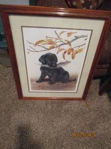 lot 141 image: Framed and matted Amy Bracjenbury Signed black lab puppy print
