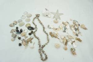 lot 70 image: Blue container with Shells and shell items