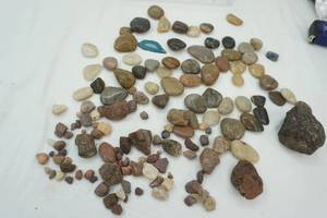 lot 71 image: Clear Tray with a Variety of stones Polished and not Polished