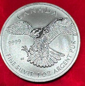 lot 13 image: 1oz .999 Silver Canadian Wildlife Round