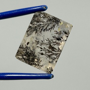 21.63 Carat Moss Agate Rectangular Tablet