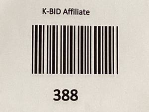 lot 388 image: King Size Pillow