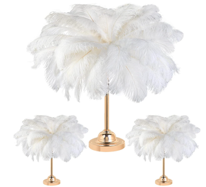 lot 470 image: XunYee 60 Pcs Natural Ostrich Feathers