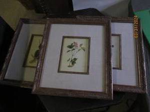 3 pictures in frame s13x15...