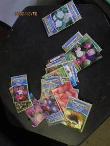 25 packets of flower seeds out of date