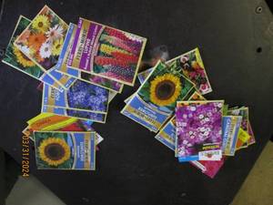 25 packets of flower seeds out of date