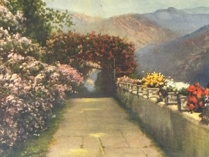 lot 34 image: Vintage Garden Scene Framed Print by R. Atkinson Fox