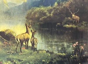 lot 135 image: Good Morning Deer Framed Vintage Print by R. Atkinson Fox
