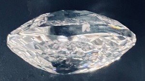lot 104 image: Swarovski Crystal Wonders of the Sea - Scallop Figurine with Original Box