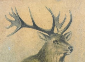 lot 363 image: R. Atkinson Fox Framed Vintage Print, Over The Top Framed Print