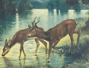 lot 400 image: Vintage R. Atkinson Fox When Morning Wakens in the Hills Framed Print