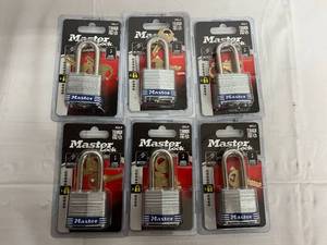 6 x 3DLF Master Locks