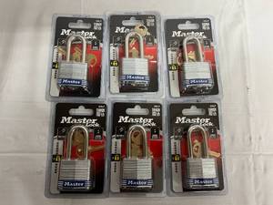 6 x 3DLF Master Locks