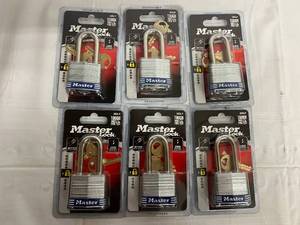 6 x 3DLF Master Locks