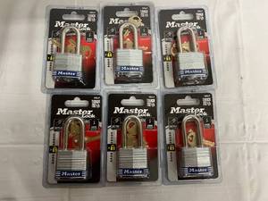6 x 3DLF Master Locks