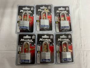 6 x 3DLF Master Locks