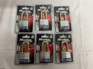 6 x 3DLF Master Locks