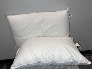 Lot of 2 Pillows 1 King, 1 Standard