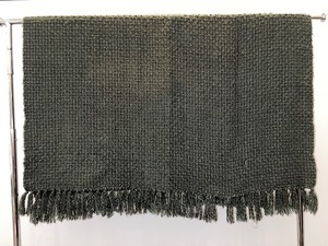 Max Studio Home Grey Fringed Throw