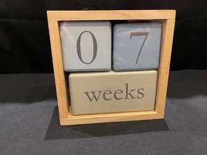 Solid Wood Baby Age Pop Blocks