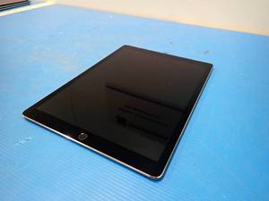 Apple&nbspiPad Pro 12.9in A1652  128GB of storage  Cellular Carrier Unlocked  Includes Charging Cable  small white spot in screen&nbsp