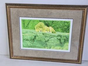 lot 378 image: Large Framed Picture of a Lion