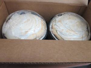 Case of 6- 9 inch FROZEN Rocky Moun...