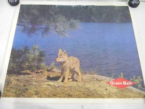 lot 9 image: RARE VINTAGE GRAIN BELT BEER WOLF CUB PRINT - Printed on linen textured paper - FANTASTIC RARE PIECE - NICE - APPROX 34 By 27 - SEE PICTURES