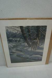 James A Merger Print  Hidden Game-Timberwolf
