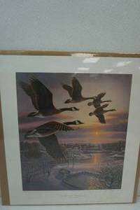 James A Merger Print Signed & Numbered One More Pass - Canadian Geese