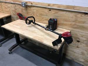 lot 100 image: Toro Flex-Force 60-volt Max 15-in Straight Shaft Model # 51831