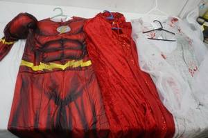 4 Adult Halloween Costumes