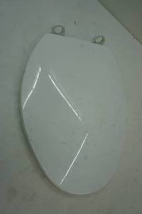 Toilet Seat