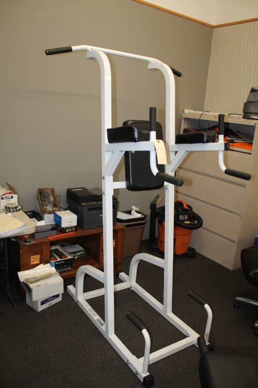 Parabody Serious Steel Vertical Knee Raise Chin Dip Exercise Equipment City of Champlin Seized and Surplus Property Sale K BID