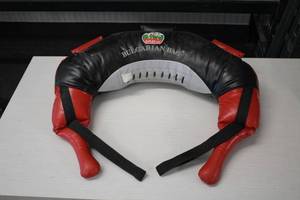 lot 750 image: Suples Ltd Bulgarian Bag 26-lb Exercise Bag