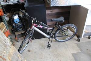 lot 868 image: Roadmaster Sports SK 20 Womens Trail Bike 18 BlackSilverPink Frame
