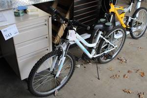 lot 867 image: Roadmaster 20 Girls Trail Bike 14 WhiteGreenBlack Frame