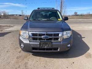lot 11 image: 2009 Ford Escape