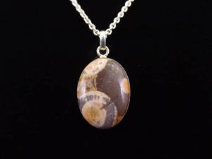 .925 Sterling Silver Red Orbicular Jasper Cabochon Pendant Necklace