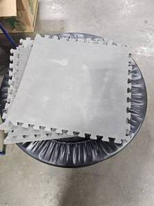 Pro Form Trampoline & Exercise MatFoam