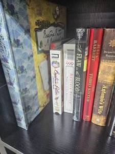 Books Various Authors - Entire Shelf Goes Inc Rosalind Laker & Danielle Steel