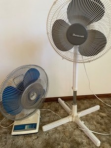 lot 189 image: Two Fans
